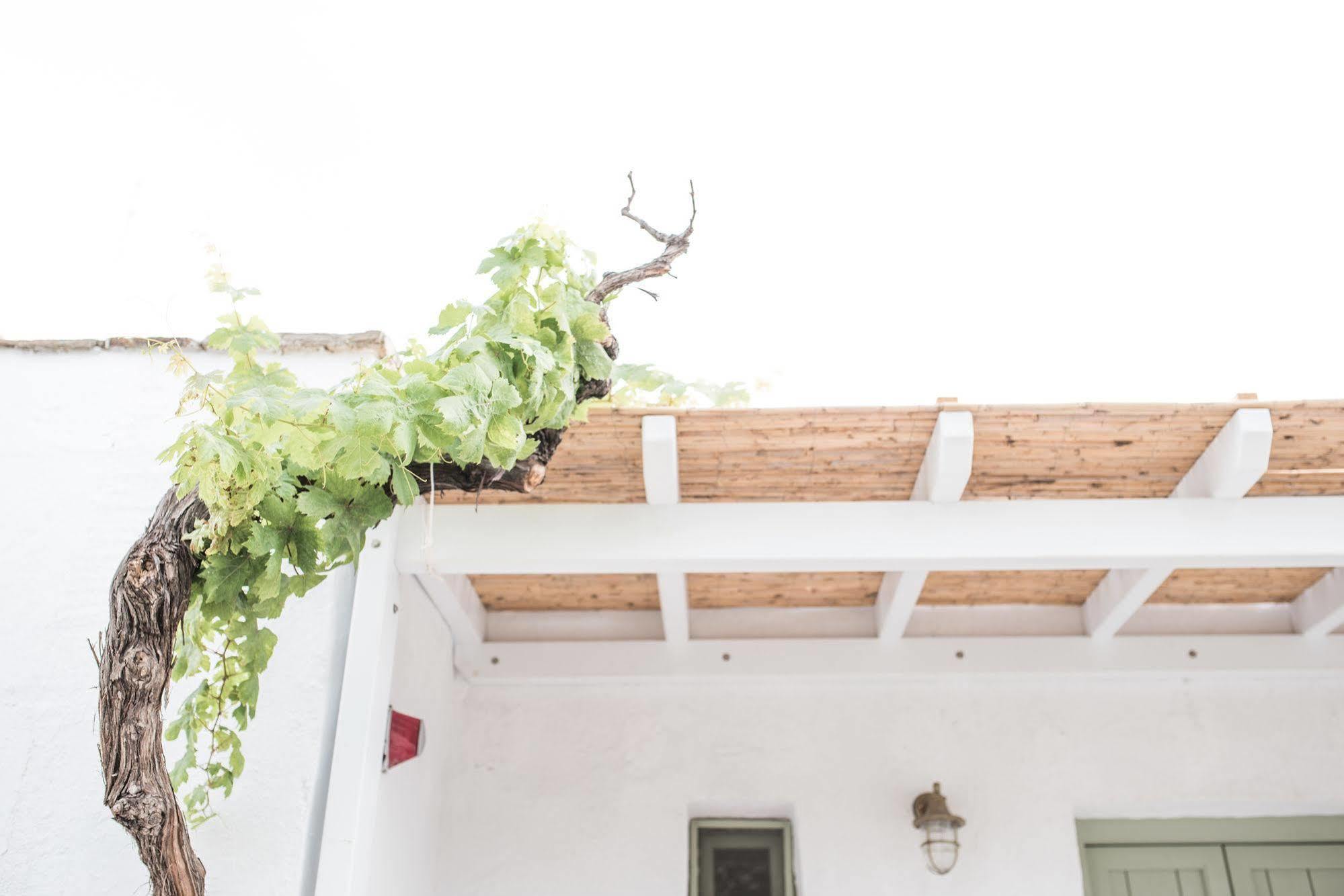 Nastasia Village Naxos City Dış mekan fotoğraf